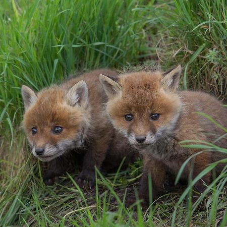 Landhotel Jagdschloss Windelsbach Zewnętrze zdjęcie
